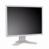Monitor EIZO FlexScan S2100, 21 Inch LCD, 1600 x 1200, VGA, DVI, Refurbished Monitoare Refurbished