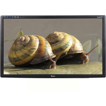 Monitor Second Hand TopView T2491WD, 24 Inch Full HD LCD, VGA, DVI, Fara picior Monitoare Ieftine 1