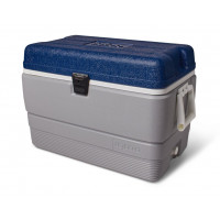 IGLOO MAXCOLD 50, Gray/Blue