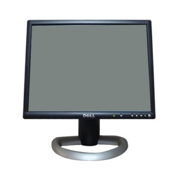 Monitor DELL 1905FP, 19 Inch LCD, 1280 x 1024, VGA, DVI, USB Monitoare Second Hand