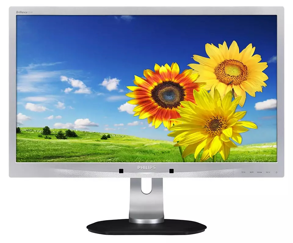 Monitor PHILIPS 231PW, 23 Inch Full HD LED, VGA, DVI, Display Port, USB, Fara Picior