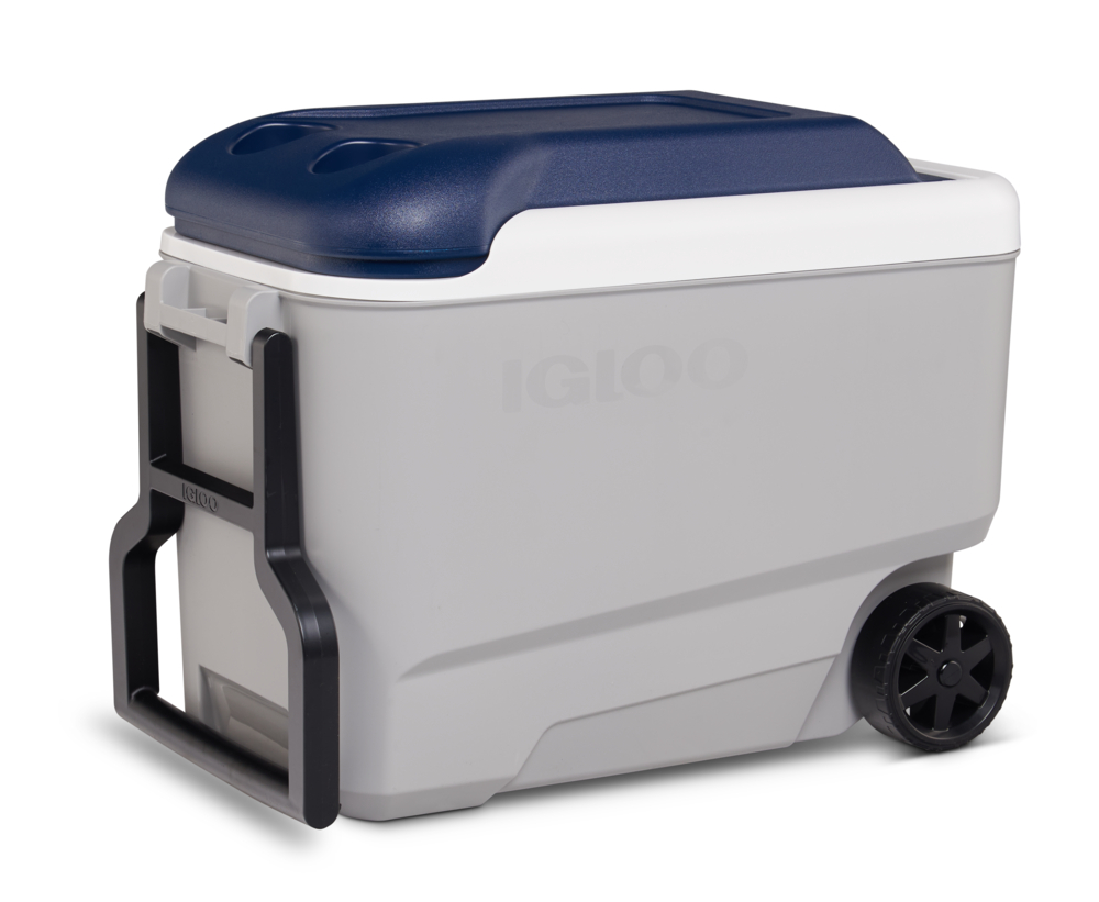 IGLOO MAXCOLD 40 ROLLER